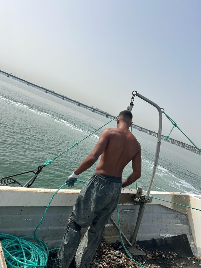 e89dd44b-c3e4-4070-a3f3-e5566b910cff